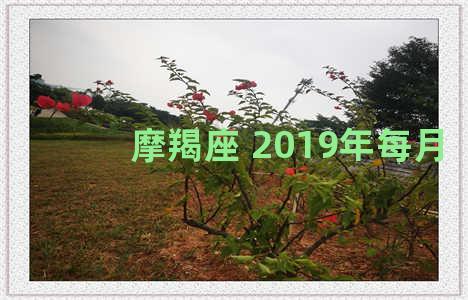 摩羯座 2019年每月